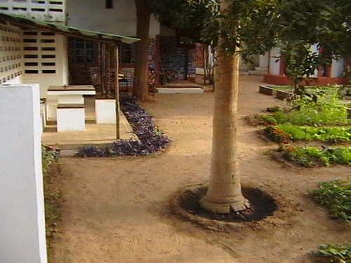 HOUSE 017